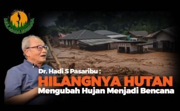 Dr. Hadi S Pasaribu : Hilangnya Hutan Mengubah Hujan Menjadi Bencana